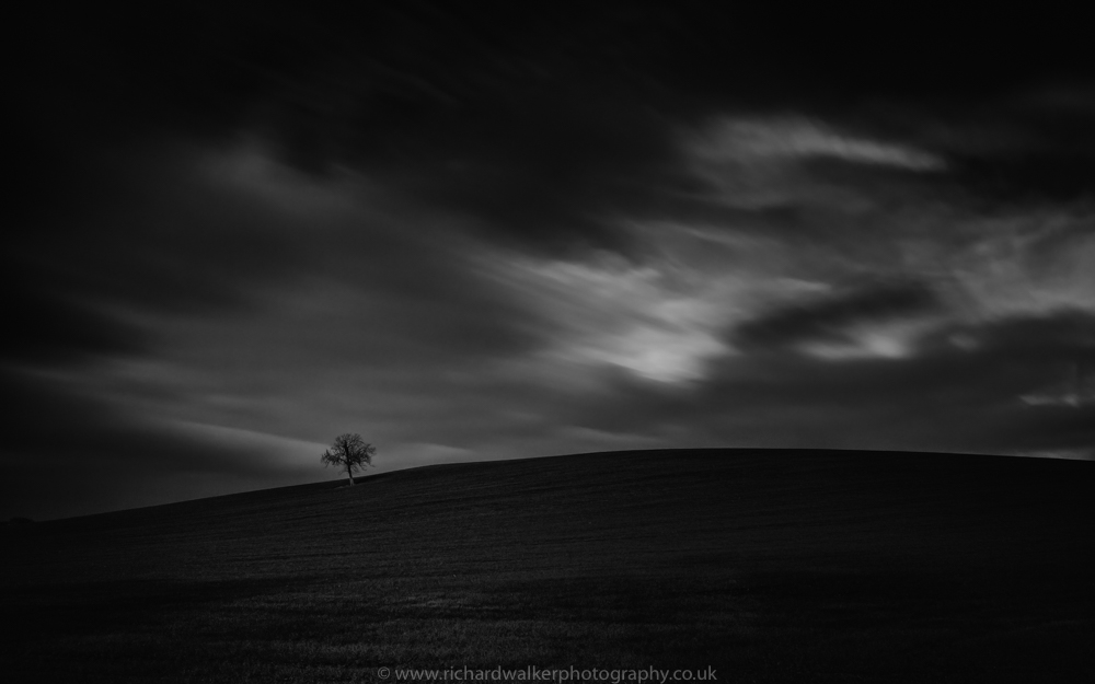 Black and white long exposure of a tree on a hill shot using the Benro Travel Angel tripod